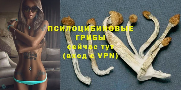 mix Касимов
