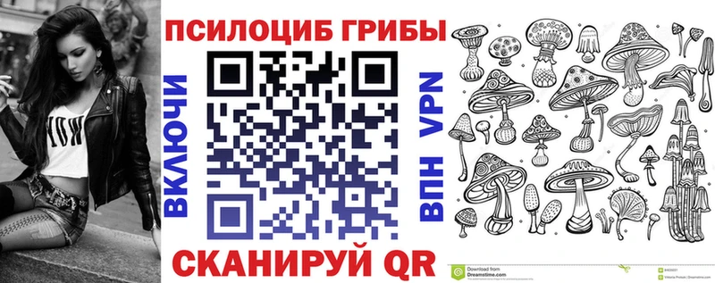 Купить где  Саки  Псилоцибиновые грибы MAGIC MUSHROOMS 